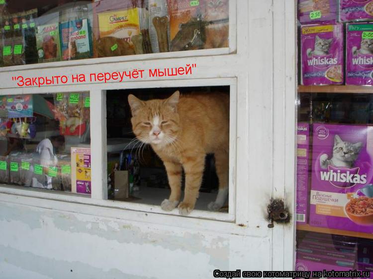 "Закрыто на переучёт мышей"... Котоматрица: "Закрыто на переучёт мышей"