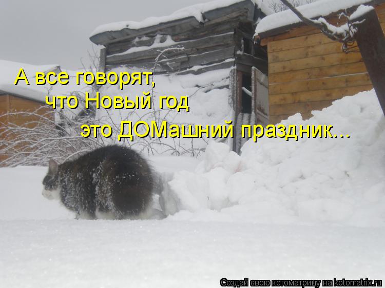 Котоматрица: что Новый год А все говорят, это ДОМашний праздник...