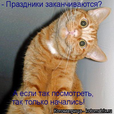 - Праздники заканчиваются? А если так посмотреть, так только начались!... Котоматрица: - Праздники заканчиваются? А если так посмотреть, так только начались!