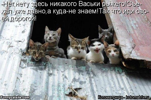 -Нет,нету здесь никакого Васьки рыжего!Съе- хал уже давно,а куда-не знаем!Так что иди сво- ей дорогой... Котоматрица: -Нет,нету здесь никакого Васьки рыжего!Съе- хал уже давно,а куда-не знаем!Так что иди сво- ей дорогой!