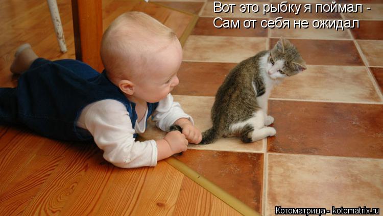 Вот это рыбку я поймал - Сам от себя не ожидал... Котоматрица: Вот это рыбку я поймал - Сам от себя не ожидал