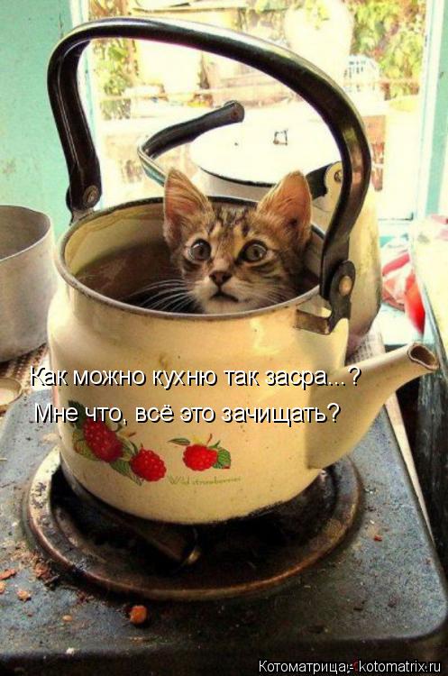 Как можно кухню так засра...? Мне что, всё это зачищать?... Котоматрица: Как можно кухню так засра...? Мне что, всё это зачищать?
