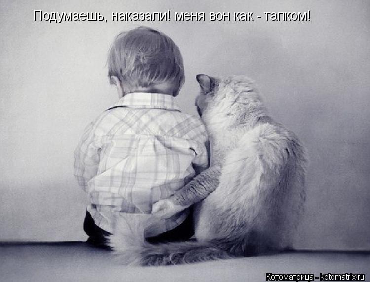 Подумаешь, наказали! меня вон как - тапком!... Котоматрица: Подумаешь, наказали! меня вон как - тапком!