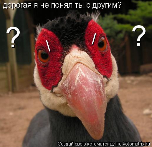 дорогая я не понял ты с другим? \ / ? ?... Котоматрица: дорогая я не понял ты с другим? \ / ? ?