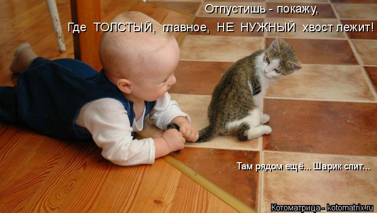 http://kotomatrix.ru/images/lolz/2014/01/06/kotomatritsa_W.jpg