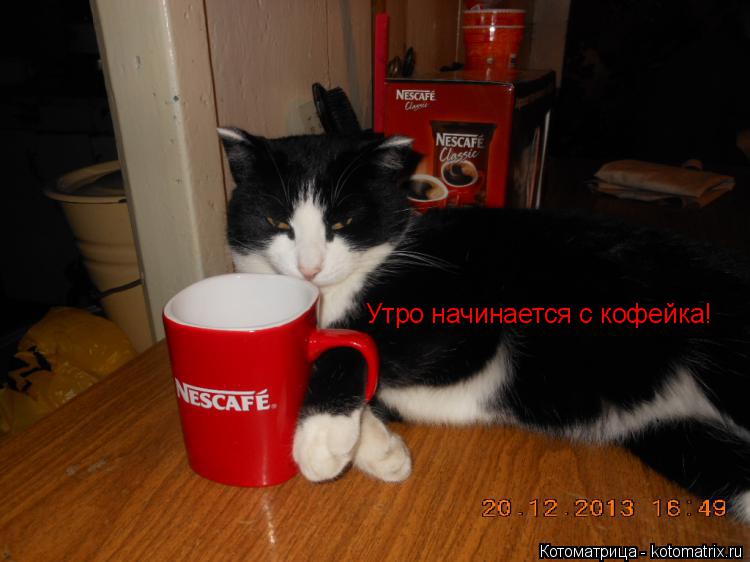 Утро начинается с кофейка!... Котоматрица: Утро начинается с кофейка!