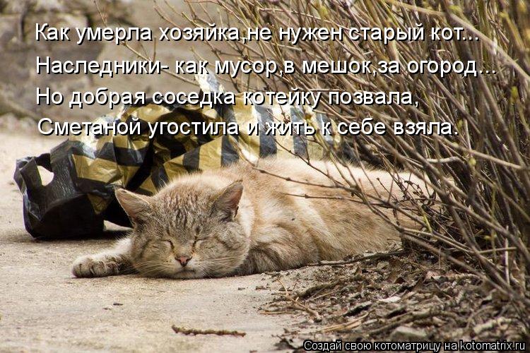 Как умерла хозяйка,не нужен старый кот... Наследники- как мусор,в мешок,за огород... Но добрая соседк... Котоматрица: Как умерла хозяйка,не нужен старый кот... Наследники- как мусор,в мешок,за огород... Но добрая соседка котейку позвала, Сметаной угостила и жи