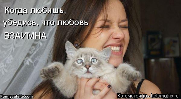 Когда любишь, убедись, что любовь ВЗАИМНА... Котоматрица: Когда любишь, убедись, что любовь ВЗАИМНА