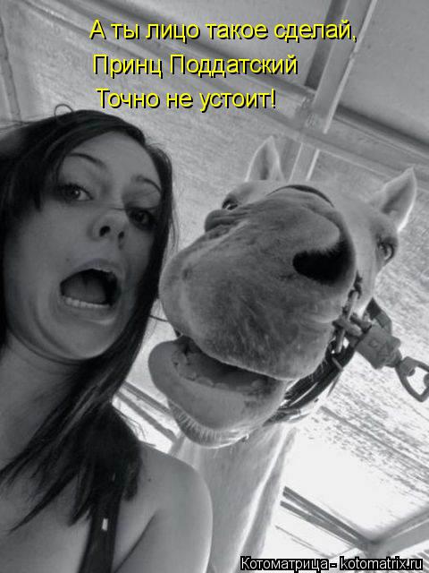 А ты лицо такое сделай, Принц Поддатский Точно не устоит!... Котоматрица: А ты лицо такое сделай, Принц Поддатский Точно не устоит!