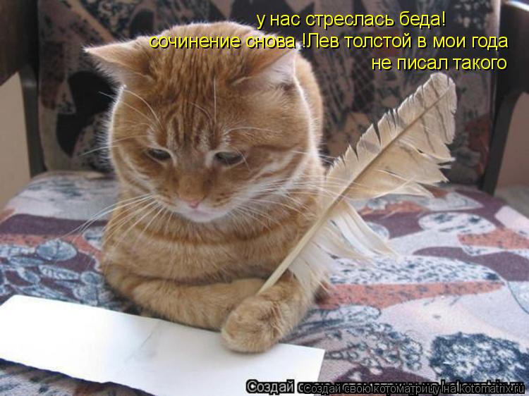 у нас стреслась беда! сочинение снова !Лев толстой в мои года не писал такого... Котоматрица: у нас стреслась беда! сочинение снова !Лев толстой в мои года не писал такого