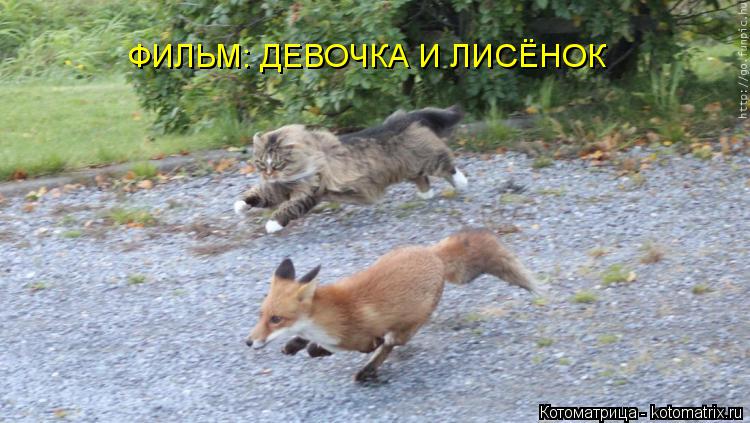Котоматрица: ФИЛЬМ: ДЕВОЧКА И ЛИСЁНОК