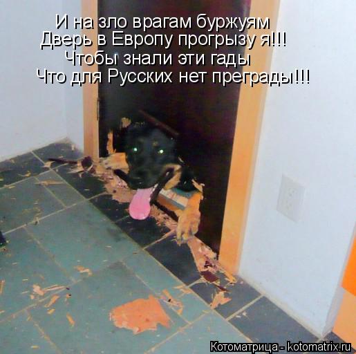 И на зло врагам буржуям Дверь в Европу прогрызу я!!! Чтобы знали эти гады Что для Русских нет преград... Котоматрица: И на зло врагам буржуям Дверь в Европу прогрызу я!!! Чтобы знали эти гады Что для Русских нет преграды!!!