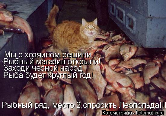 Котоматрица: Мы с хозяином решили Рыбный магазин открыли! Заходи чесной народ Рыба будет круглый год! Рыбный ряд, место 2,спросить Леопольда!!!