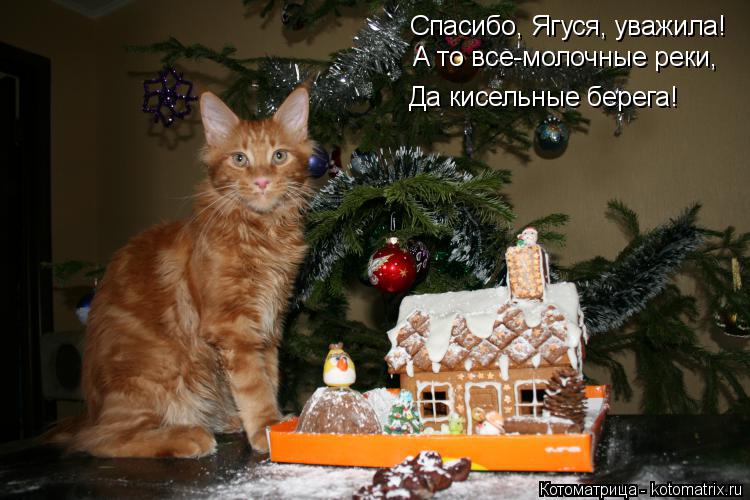 Спасибо, Ягуся, уважила! А то все-молочные реки, Да кисельные берега!... Котоматрица: Спасибо, Ягуся, уважила! А то все-молочные реки, Да кисельные берега!