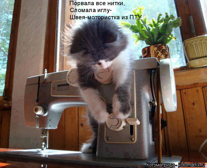 Порвала все нитки, Сломала иглу- Швея-мотористка из ПТУ... Котоматрица: Порвала все нитки, Сломала иглу- Швея-мотористка из ПТУ