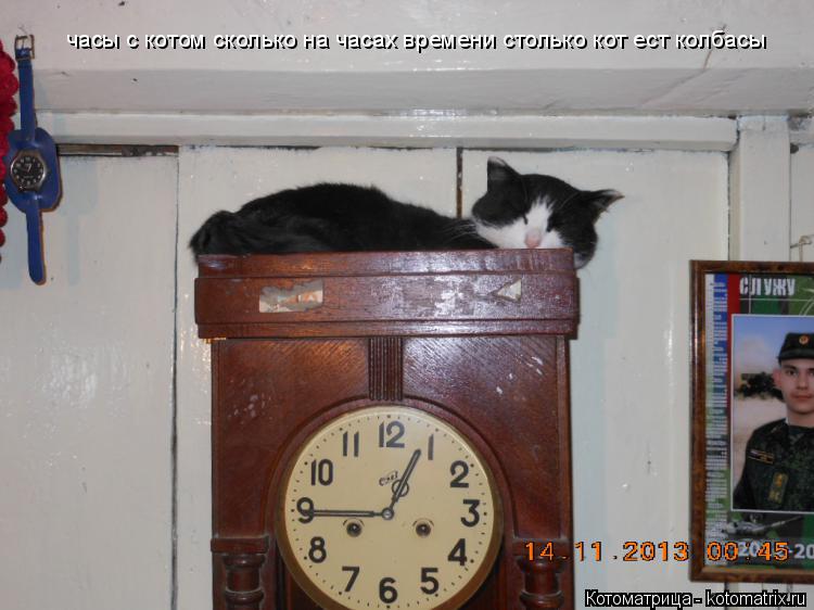 Котоматрица: часы с котом сколько на часах времени столько кот ест колбасы