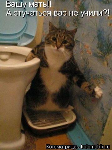 Вашу мать!! А стучаться вас не учили?!... Котоматрица: Вашу мать!! А стучаться вас не учили?!