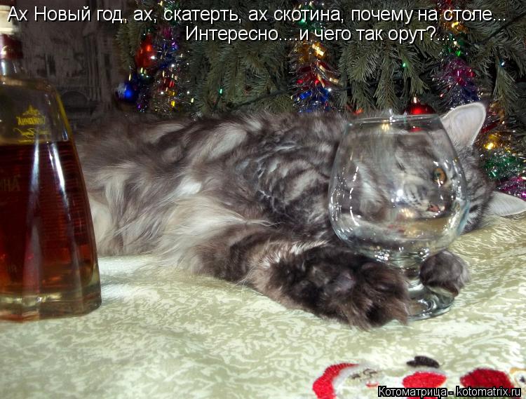 Ах Новый год, ах, скатерть, ах скотина, почему на столе... Интересно....и чего так орут?....... Котоматрица: Ах Новый год, ах, скатерть, ах скотина, почему на столе... Интересно....и чего так орут?....