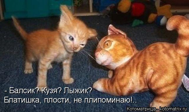 - Балсик? Кузя? Лыжик? Блатишка, плости, не плипоминаю!..... Котоматрица: - Балсик? Кузя? Лыжик? Блатишка, плости, не плипоминаю!..