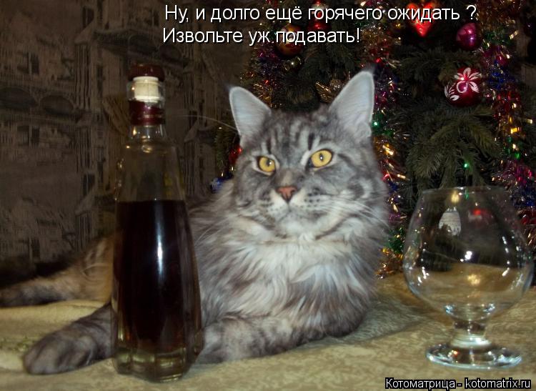 Ну, и долго ещё горячего ожидать ? Извольте уж подавать!... Котоматрица: Ну, и долго ещё горячего ожидать ? Извольте уж подавать!