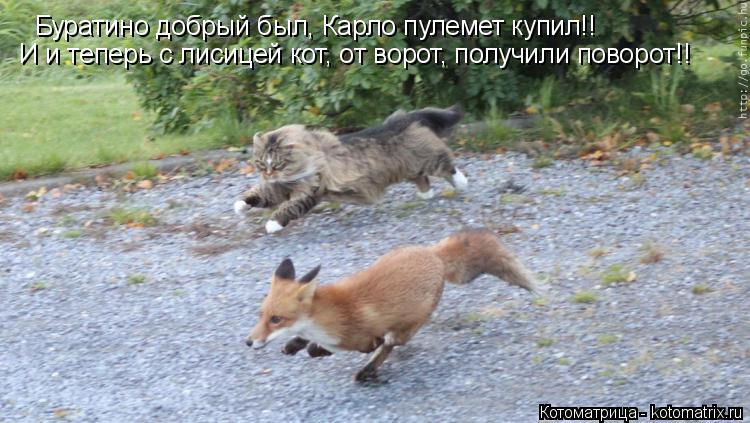Буратино добрый был, Карло пулемет купил!! И и теперь с лисицей кот, от ворот, получили поворот!!... Котоматрица: Буратино добрый был, Карло пулемет купил!! И и теперь с лисицей кот, от ворот, получили поворот!!