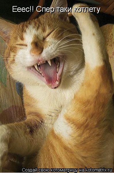 Ееес!! Спер таки котлету Ееес!! Спер таки котлету... Котоматрица: Ееес!! Спер таки котлету Ееес!! Спер таки котлету