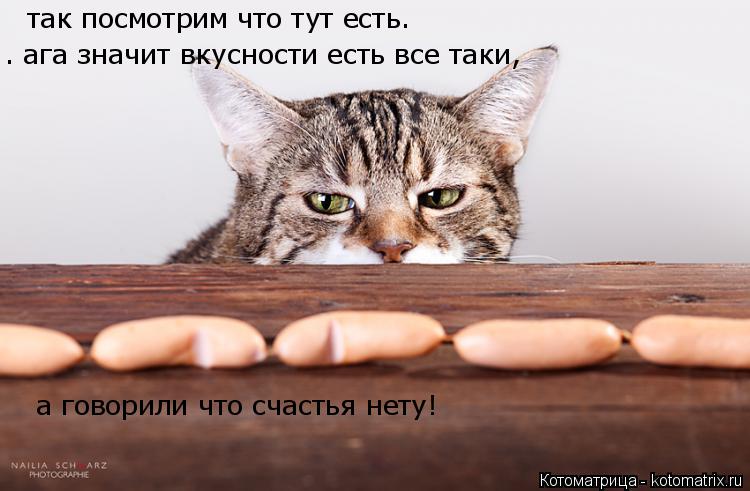 так посмотрим что тут есть. . ага значит вкусности есть все таки, а говорили что счастья нету!... Котоматрица: так посмотрим что тут есть. . ага значит вкусности есть все таки, а говорили что счастья нету!
