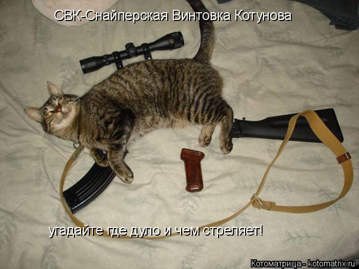 Котоматрица: СВК-Снайперская Винтовка Котунова угадайте где дуло и чем стреляет!
