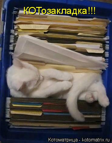 КОТозакладка!!!... Котоматрица: КОТозакладка!!!