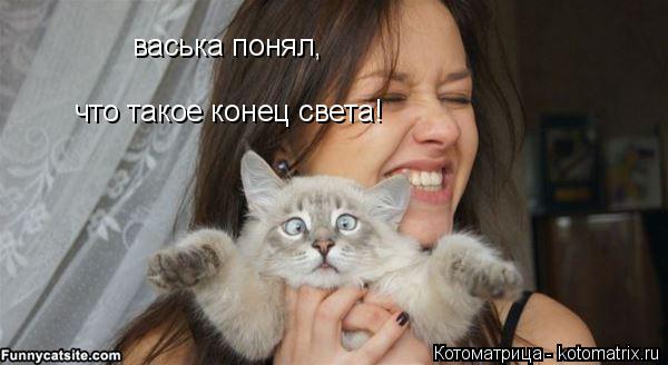 васька понял, что такое конец света!... Котоматрица: васька понял, что такое конец света!