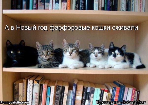 А в Новый год фарфоровые кошки оживали... Котоматрица: А в Новый год фарфоровые кошки оживали