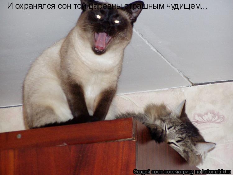 Котоматрица: И охранялся сон той царевны страшным чудищем...
