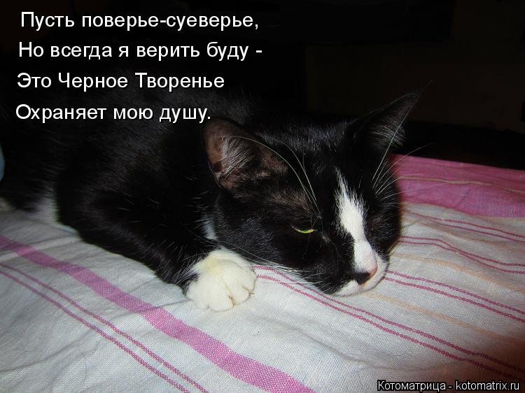 Пусть поверье-суеверье, Но всегда я верить буду - Это Черное Творенье Охраняет мою душу.... Котоматрица: Пусть поверье-суеверье, Но всегда я верить буду - Это Черное Творенье Охраняет мою душу.