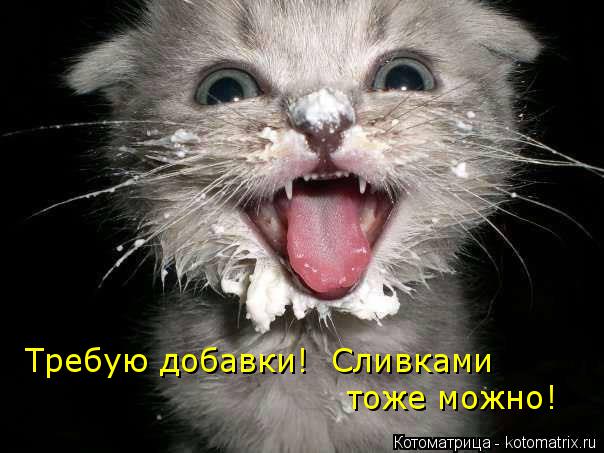 Требую добавки! Сливками тоже можно!... Котоматрица: Требую добавки! Сливками тоже можно!