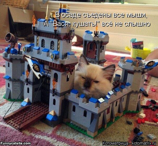 В осаде съедены все мыши, А "Вася, кушать!" всё не слышно... Котоматрица: В осаде съедены все мыши, А "Вася, кушать!" всё не слышно