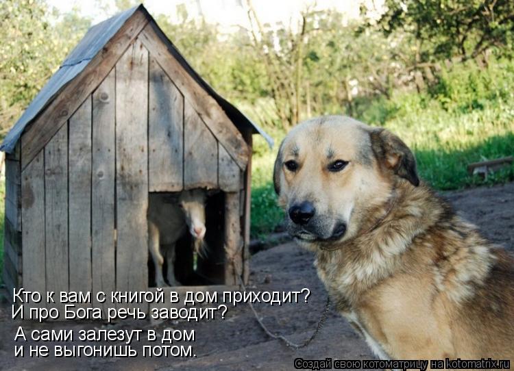 Котоматрица: А сами залезут в дом и не выгонишь потом. Кто к вам с книгой в дом приходит? И про Бога речь заводит?