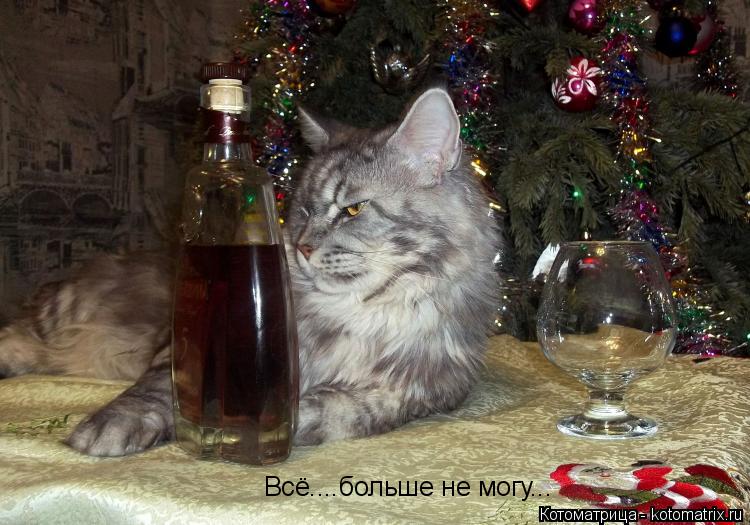 Котоматрица: Всё....больше не могу...