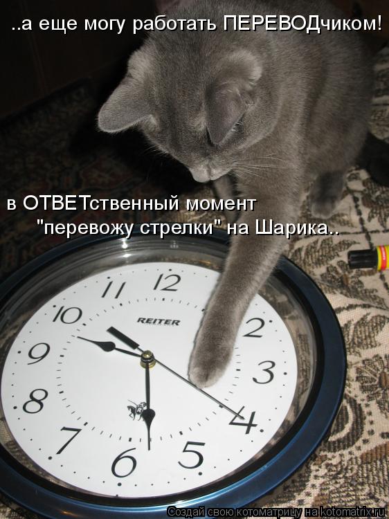 Котоматрица: ..а еще могу работать ПЕРЕВОДчиком! в ОТВЕТственный момент  "перевожу стрелки" на Шарика..