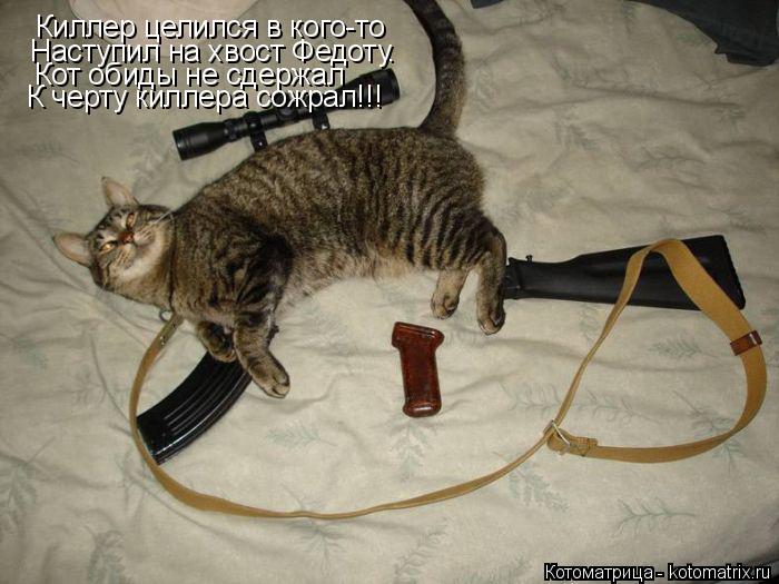 Котоматрица: Киллер целился в кого-то Наступил на хвост Федоту. Кот обиды не сдержал К черту киллера сожрал!!!
