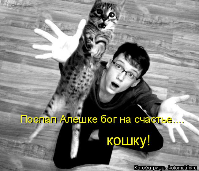 Котоматрица: кошку! Послал Алешке бог на счастье....