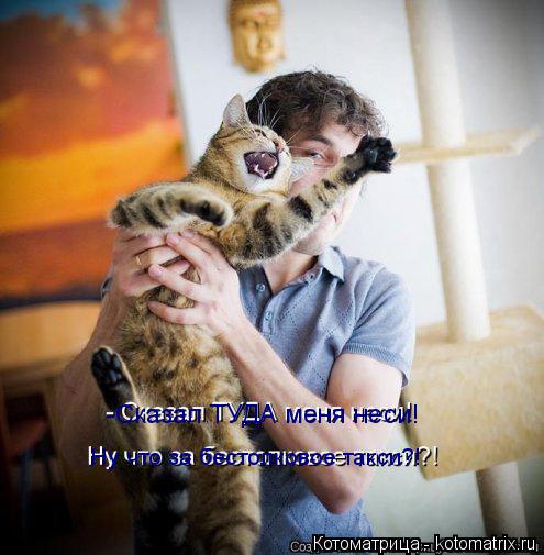 -Сказал ТУДА меня неси! Ну что за бестолковое такси?!... Котоматрица: -Сказал ТУДА меня неси! Ну что за бестолковое такси?!