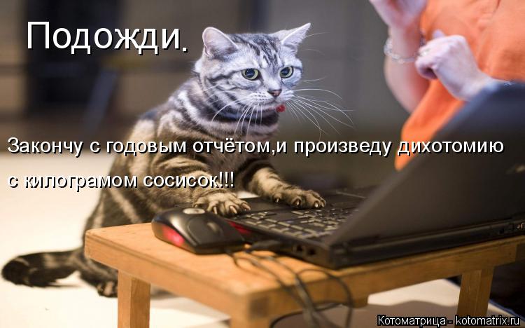 Подожди . Закончу с годовым отчётом,и произведу дихотомию ... Котоматрица: Подожди . Закончу с годовым отчётом,и произведу дихотомию с килограмом сосисок!!!