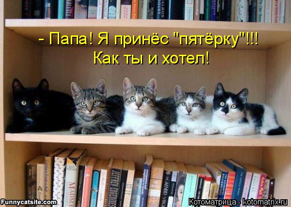 Котоматрица: - Папа! Я принёс "пятёрку"!!! Как ты и хотел!