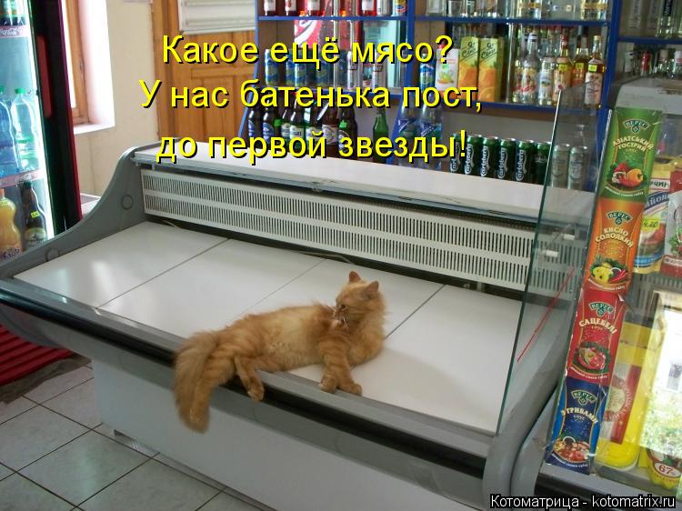 Какое ещё мясо? У нас батенька пост, до первой звезды!... Котоматрица: Какое ещё мясо? У нас батенька пост, до первой звезды!