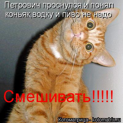Петрович проснулся и понял коньяк,водку и пиво не надо Смешивать!!!!!... Котоматрица: Петрович проснулся и понял коньяк,водку и пиво не надо Смешивать!!!!!
