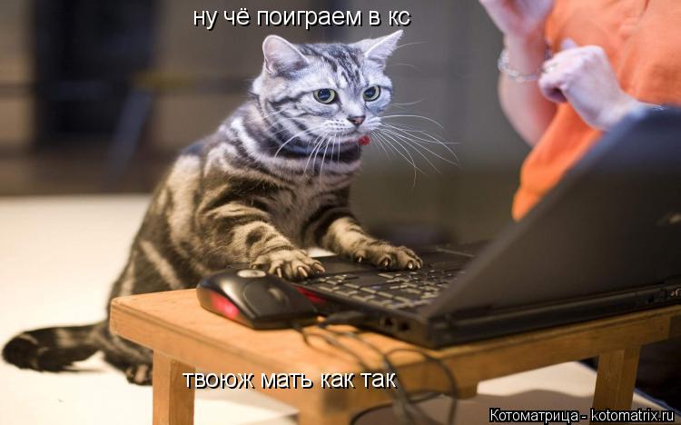 ну чё поиграем в кс твоюж мать как так... Котоматрица: ну чё поиграем в кс твоюж мать как так