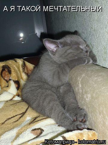 Котоматрица: А Я ТАКОЙ МЕЧТАТЕЛЬНЫЙ