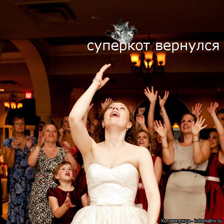 Котоматрица: суперкот вернулся