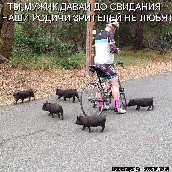 ТЫ,МУЖИК,ДАВАЙ ДО СВИДАНИЯ НАШИ РОДИЧИ ЗРИТЕЛЕЙ НЕ ЛЮБЯТ... Котоматрица: ТЫ,МУЖИК,ДАВАЙ ДО СВИДАНИЯ НАШИ РОДИЧИ ЗРИТЕЛЕЙ НЕ ЛЮБЯТ