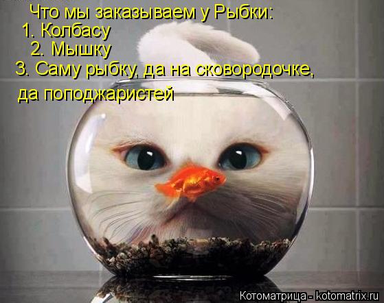 Котоматрица: Что мы заказываем у Рыбки: 1. Колбасу 2. Мышку 3. Саму рыбку, да на сковородочке,  да поподжаристей
